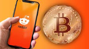 Cryptocurrency for Beginners Reddit